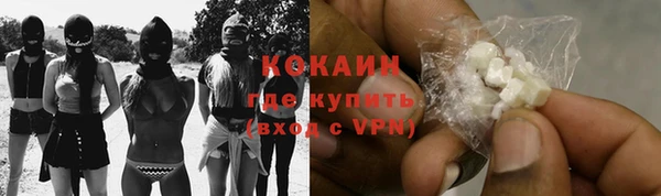 дживик Дмитров
