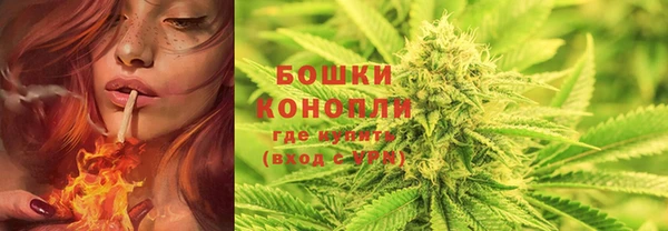 дживик Дмитров