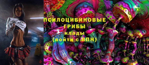 дживик Дмитров