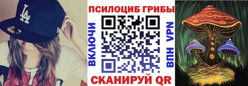 Купить где  Михайлов  Псилоцибиновые грибы Cubensis 
